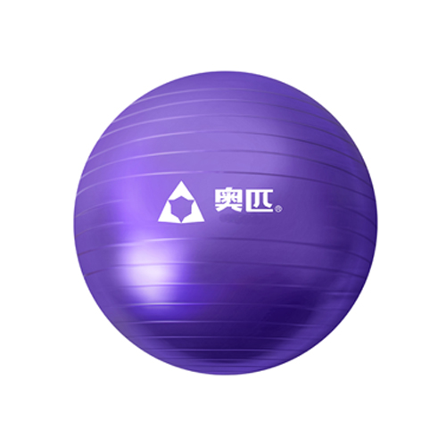 Gym Ball China  55CM Indigo