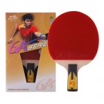 Table Tennis Bat Double Fish  6A-C