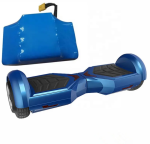 Hover Board Original Charger